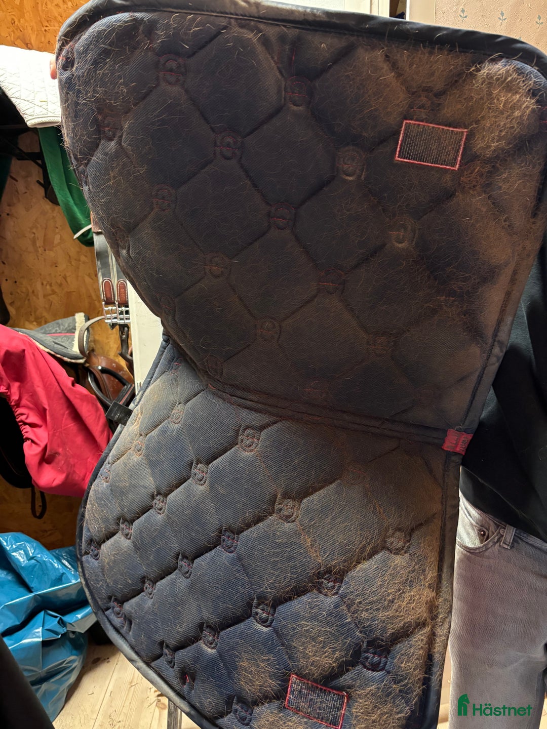 Schabrak & Vojlockar hästutrustning till salu: equestrian stockholm Schabrak  i Enköping - Annons 3