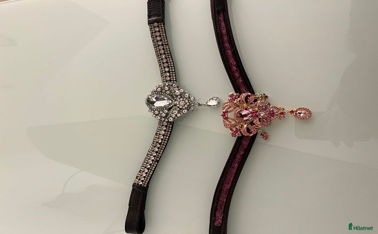 Övrig Hästutrustning hästutrustning till salu: Snygga pannband i Helsingborg - Annons 14