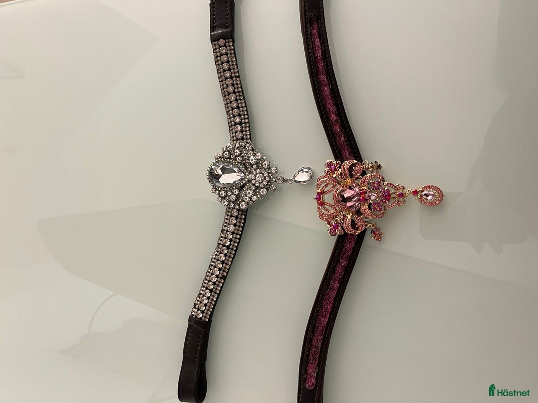 Övrig Hästutrustning hästutrustning till salu: Snygga pannband i Helsingborg - Annons 1