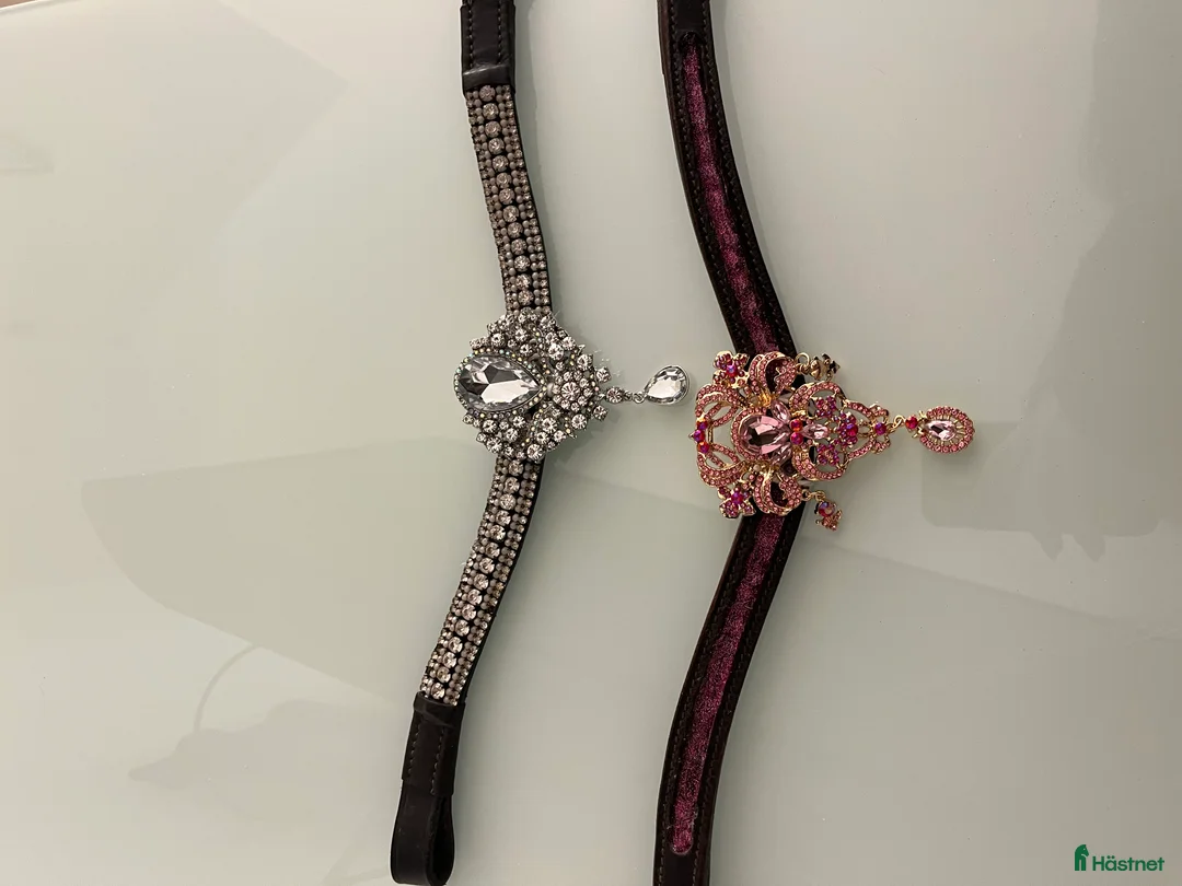 Övrig Hästutrustning hästutrustning till salu: Snygga pannband i Helsingborg - Annons 1