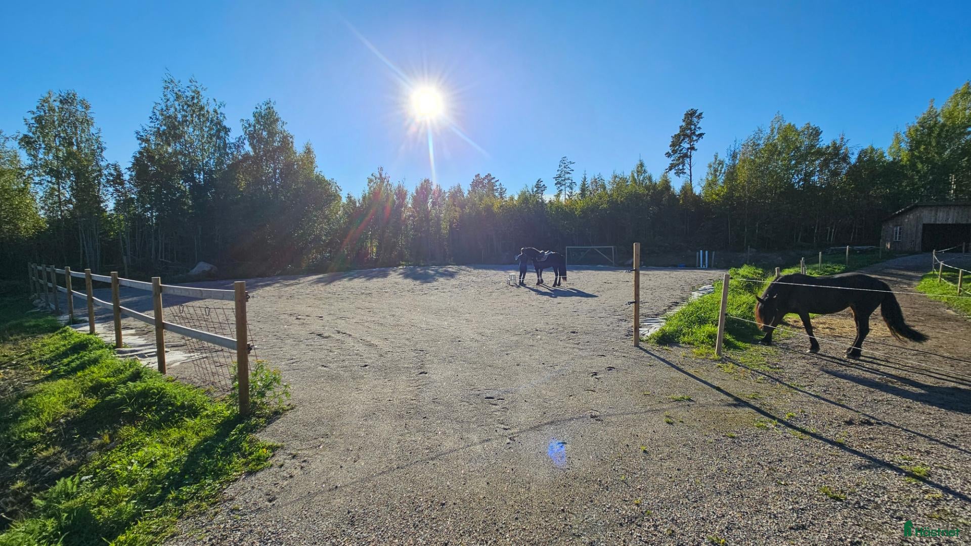  stallplats Lösdrift med skötsel - Annons 4