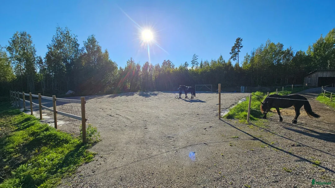  stallplats finnes: Lösdrift med skötsel - Annons 1