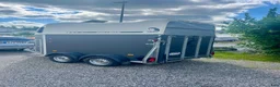 Hästtransporter  fordon & transport till salu: Cheval Liberté Gold Pullman V2 2019, Sadelkammare - Annons 4