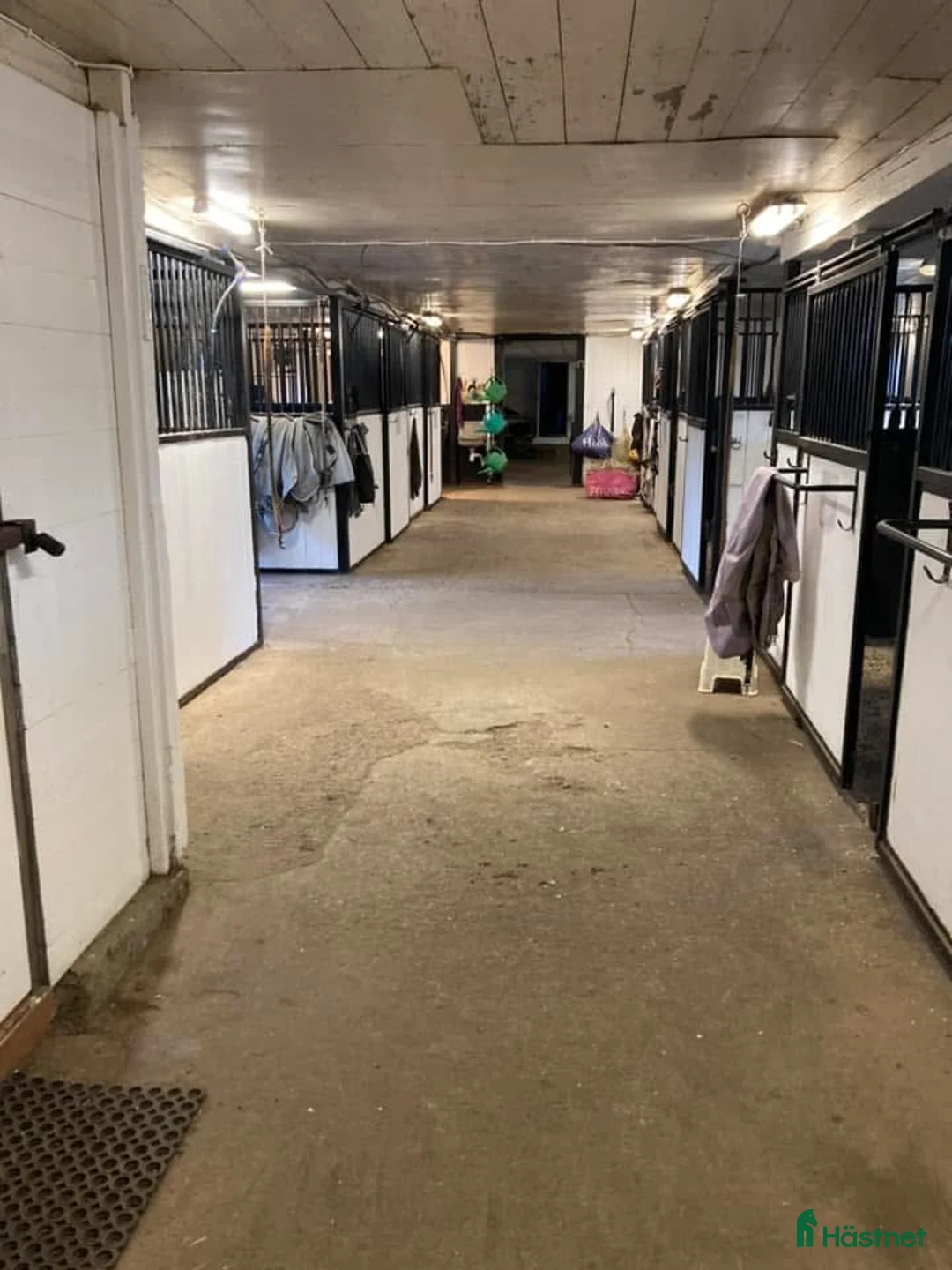  stallplats finnes: Stallplats på stall Toveryd - Annons 4