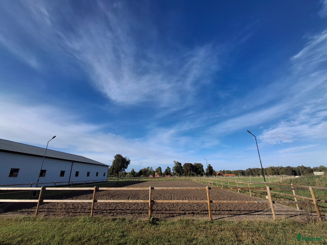  stallplats finnes: Stallplats Stall Folåsa i Vikingstad - Annons 3