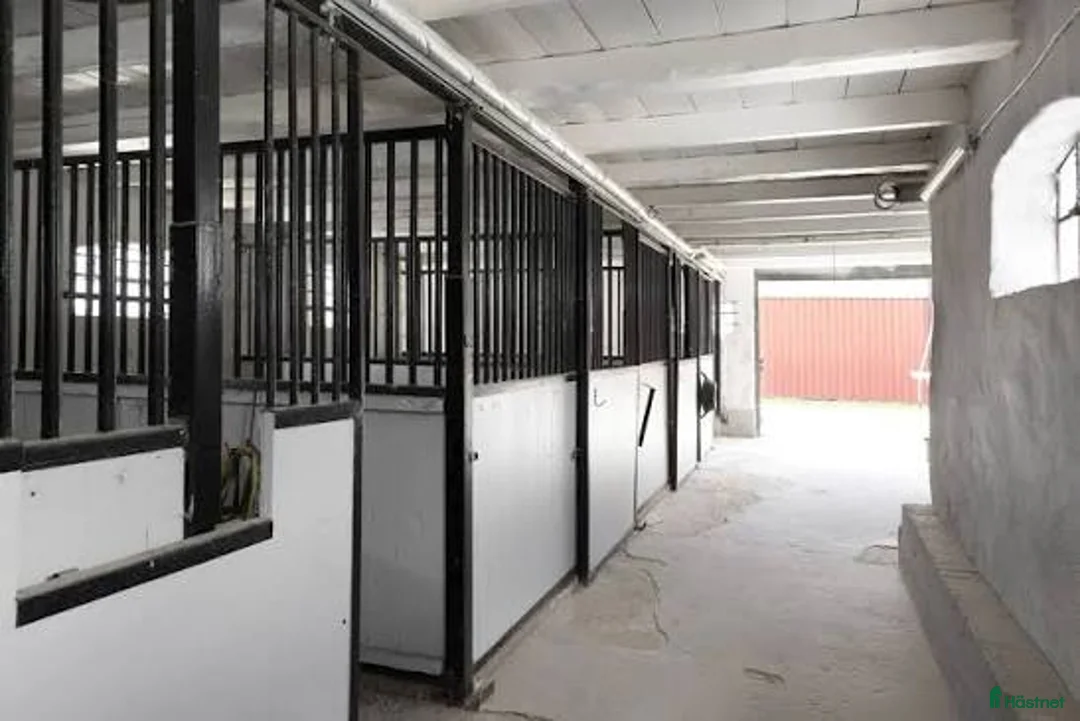  stallplats finnes: Söker stall på 4 boxar i Enköping - Annons 1