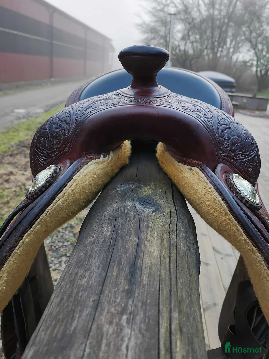 Sadlar hästutrustning till salu: Reiningsadel - Annons 2