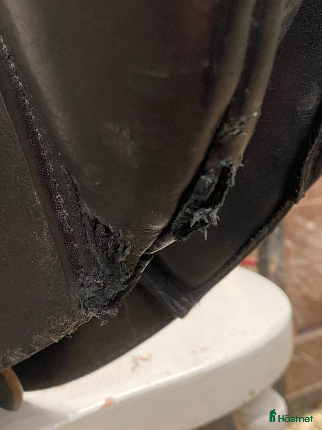 Sadlar hästutrustning till salu: Santa Cruz Celine  - Annons 5