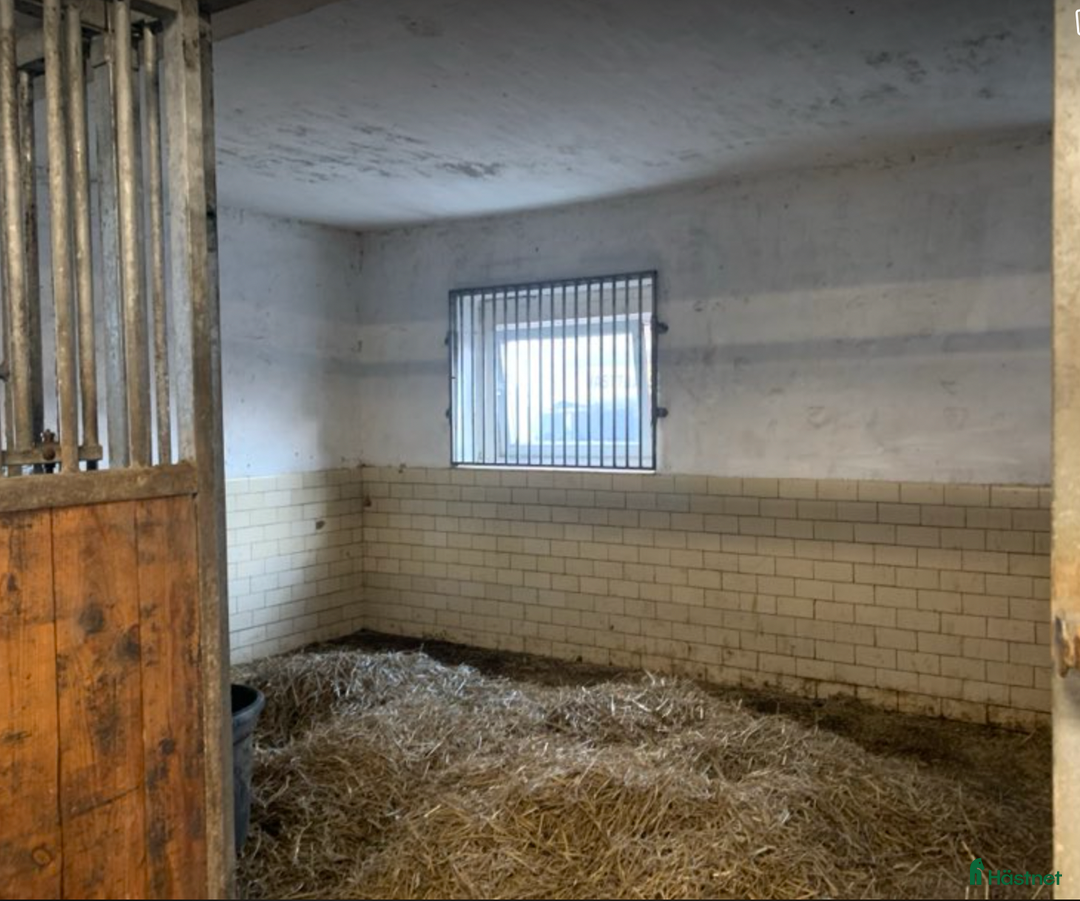  stallplats finnes: Boxplatser Helsingborg i Gantofta - Annons 4