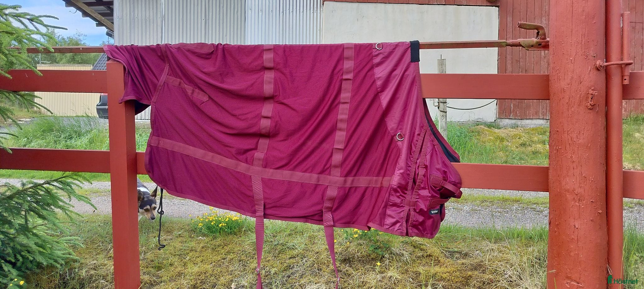 Täcken hästutrustning Back on track.  135cm - Annons 1