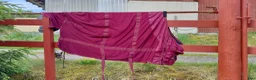 Täcken hästutrustning till salu: Back on track.  135cm - Annons 1