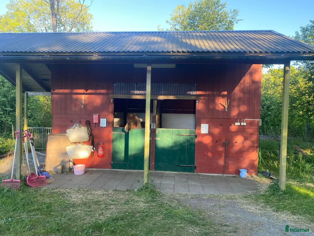  stallplats finnes: Utebox för valack i Landvetter - Annons 1