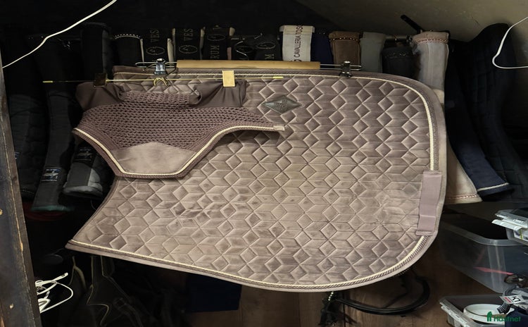 Schabrak & Vojlockar hästutrustning till salu i Burträsk - Annons 4