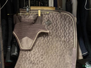 Schabrak & Vojlockar hästutrustning till salu: Säljer och byter i Burträsk - Annons 2