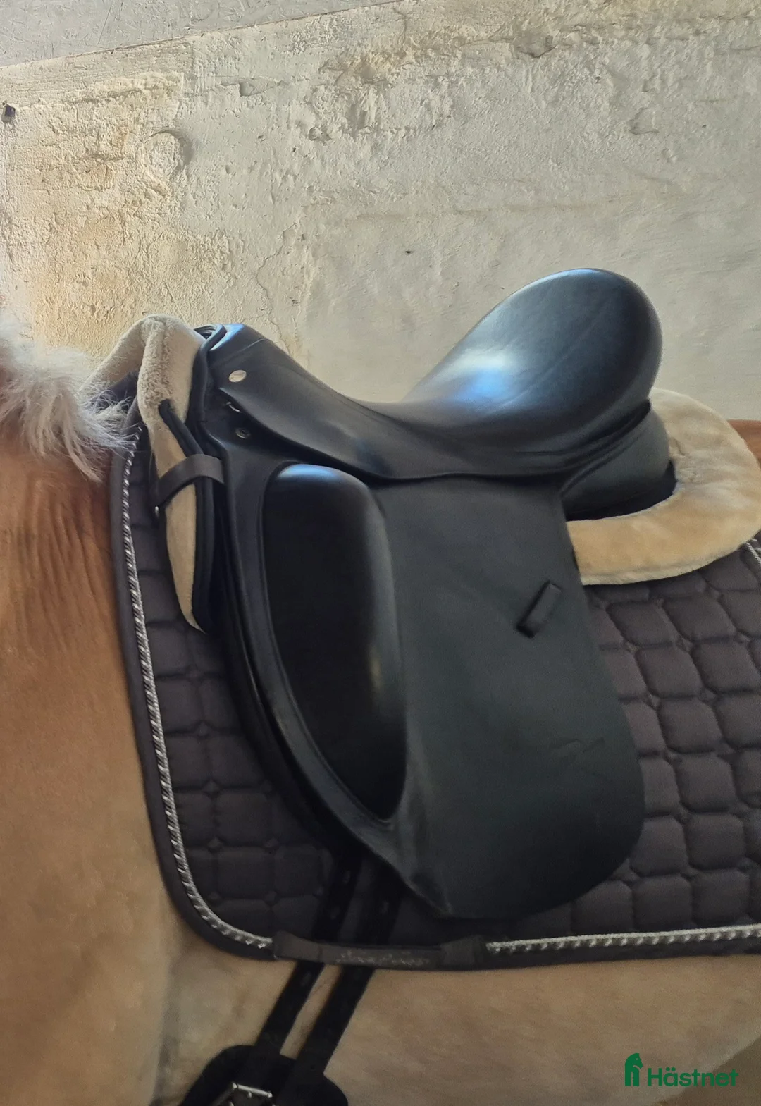 Sadlar hästutrustning till salu: Fin dressyrsadel säljes bvsa - Annons 2