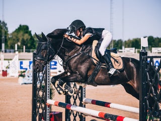 hästar Fantastisk läromästare 🩵😇💫 i Åkersberga - Annons 17