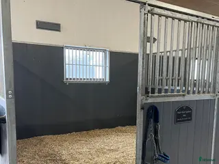 stallplats finnes: Stallplats i lugnt stall finnes i Borensberg - Annons 2