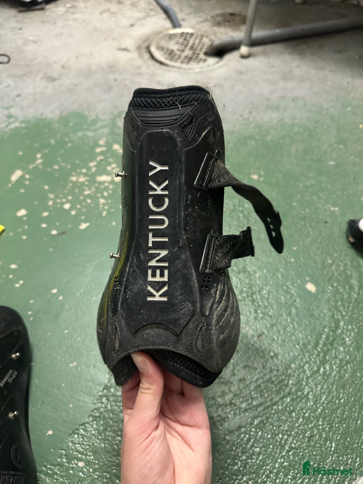 Benskydd hästutrustning Fina Kentuckyskydd - Annons 2