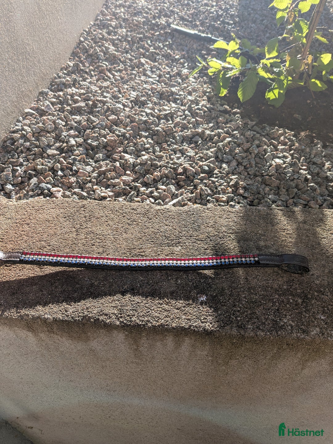 Övrig Hästutrustning hästutrustning till salu: Schabak, padd, grima och pannband till salu  - Annons 4