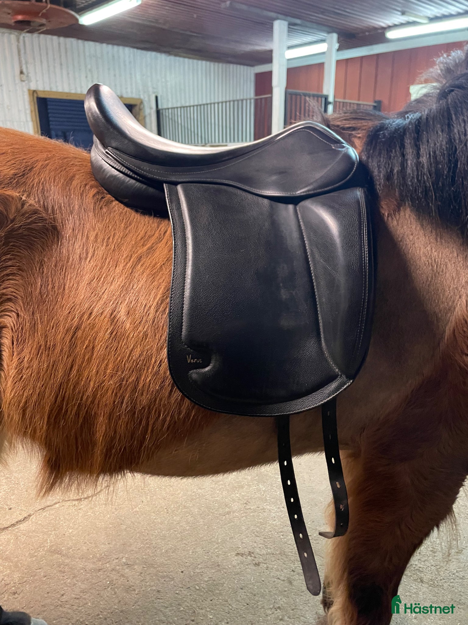 Sadlar hästutrustning Aquila Verus - Annons 14