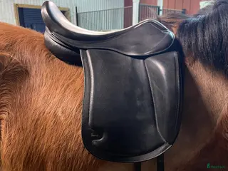 Sadlar hästutrustning Aquila Verus - Annons 14