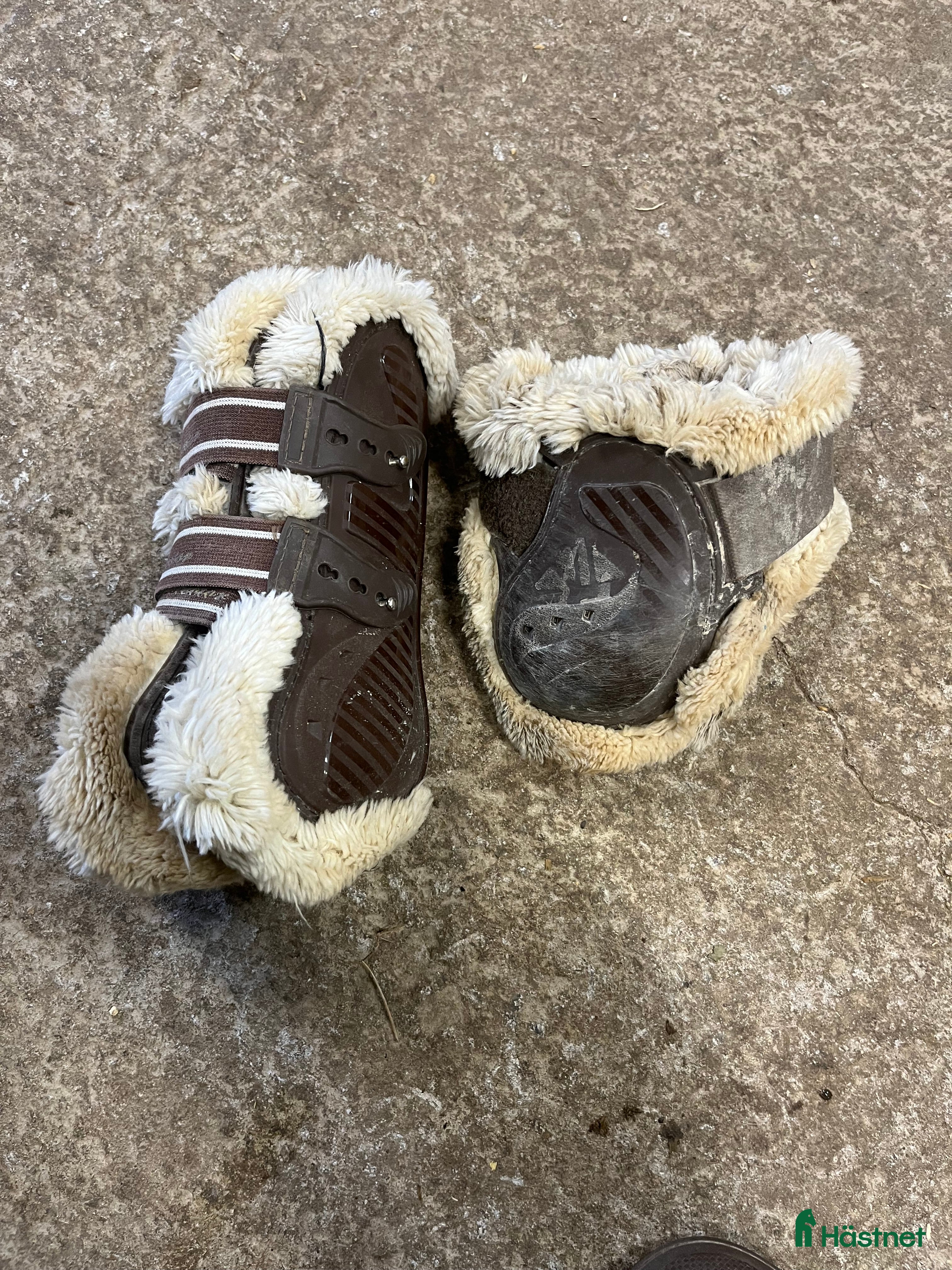 Benskydd hästutrustning till salu: Bruna benskydd i Landsbro - Annons 19