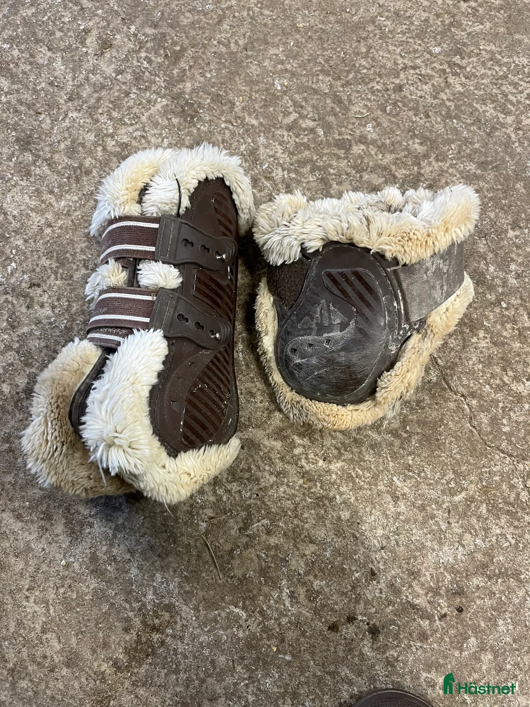 Benskydd hästutrustning till salu: Bruna benskydd i Landsbro - Annons 1