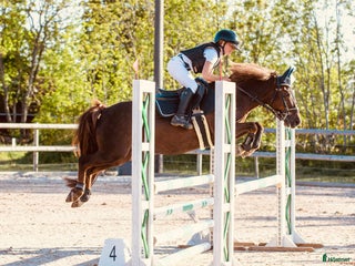 Hoppning hästar till salu: One in A million ponny🌟 i Färjestaden - Annons 1