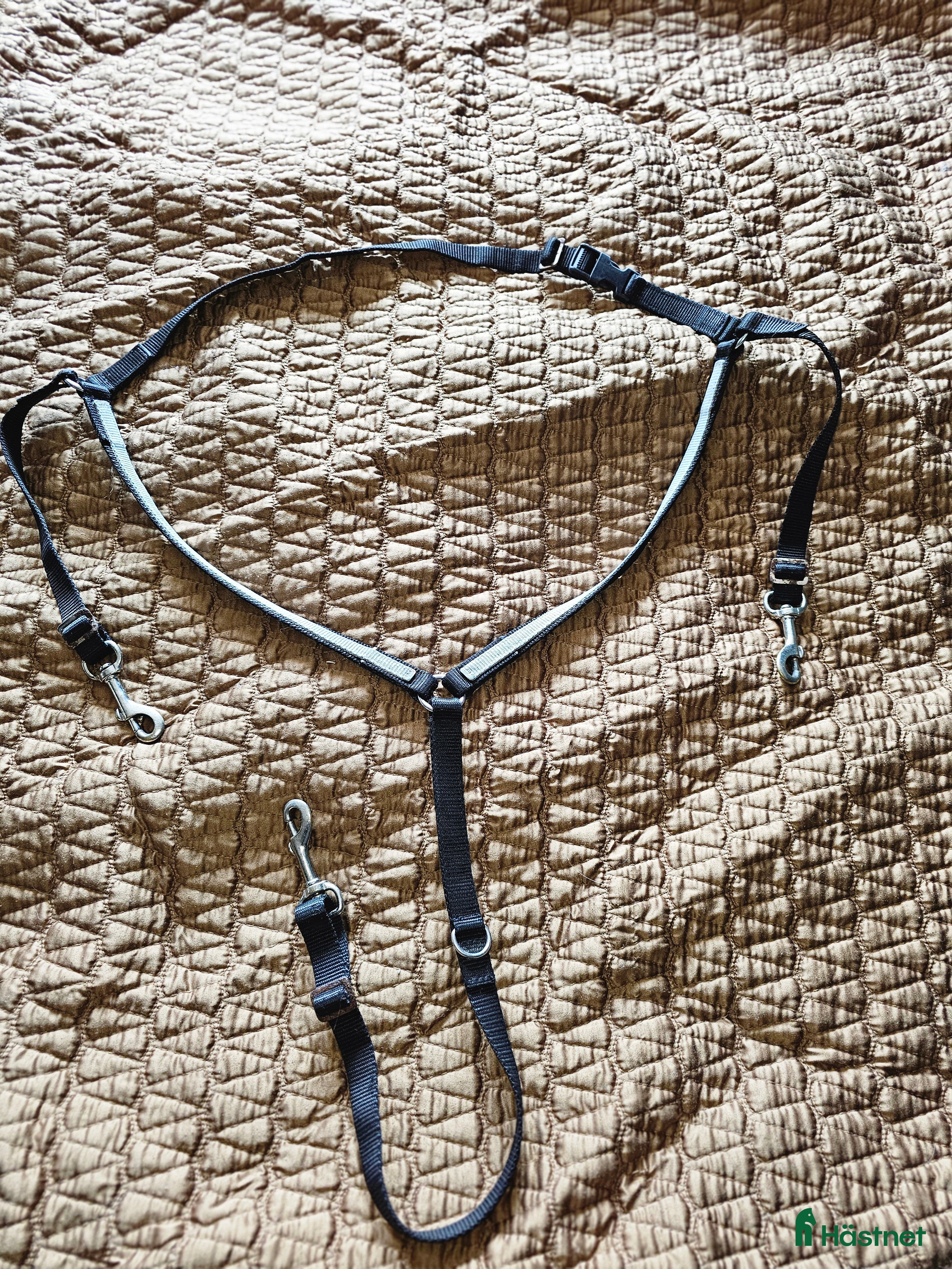 Sadeltillbehör hästutrustning till salu: Förbygel i nylon i Söråker - Annons 22