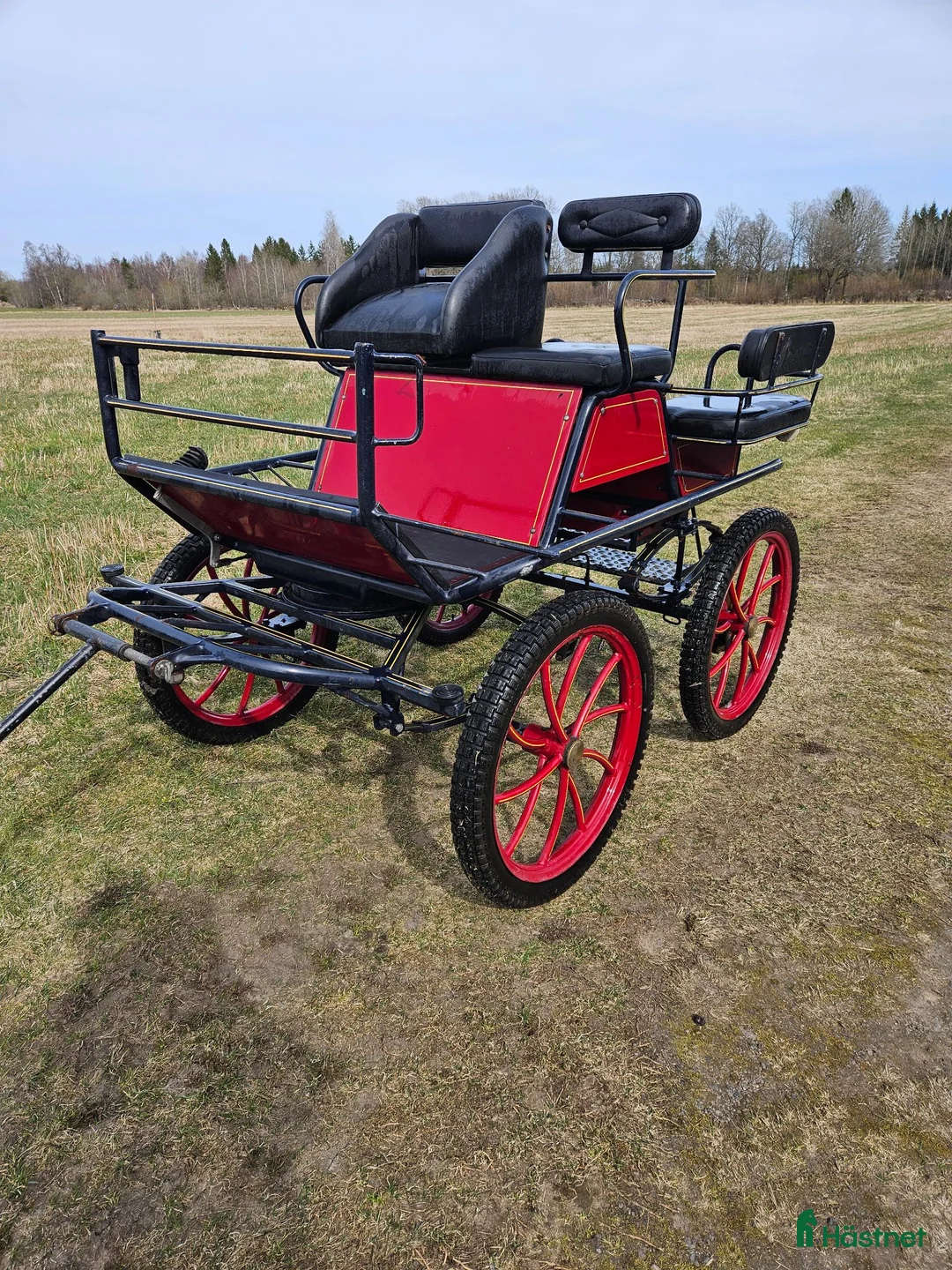 Körvagnar körning till salu: Recreatiosvagn  - Annons 3