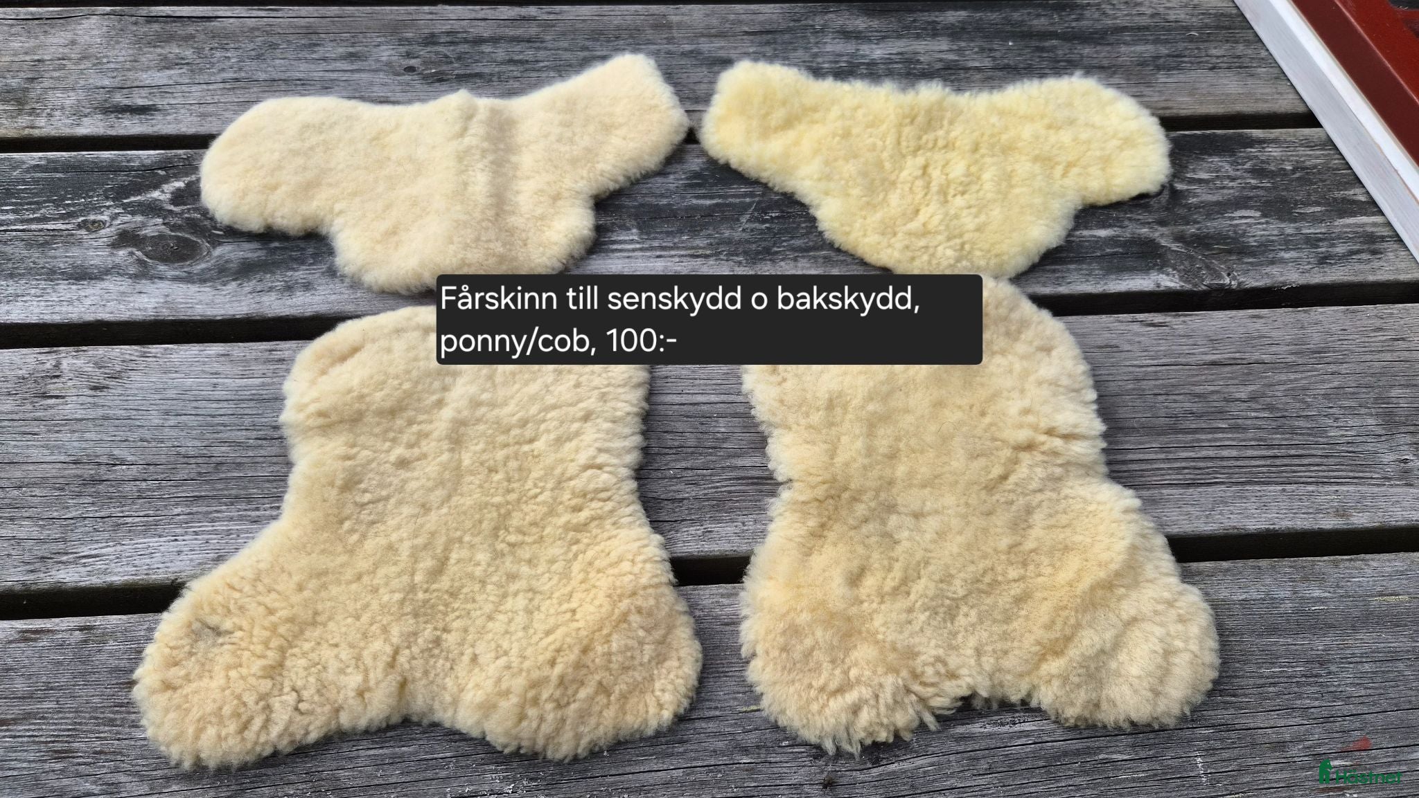 Övrig Hästutrustning hästutrustning Fårskinn - Annons 3
