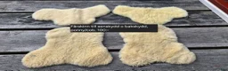 Övrig Hästutrustning hästutrustning till salu: Fårskinn - Annons 1