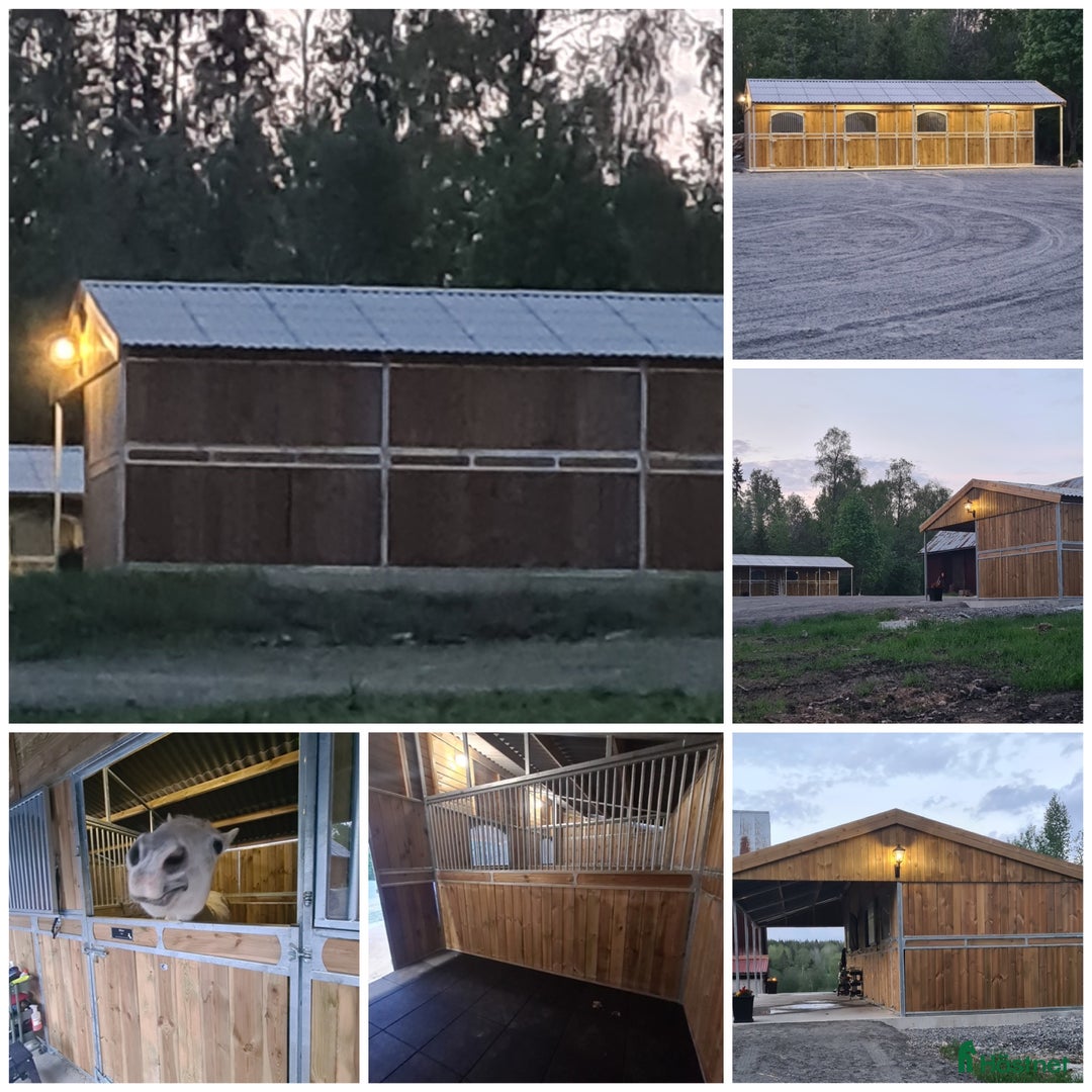  stallplats finnes: Stall platser ledigt  i Lindesberg - Bild 7