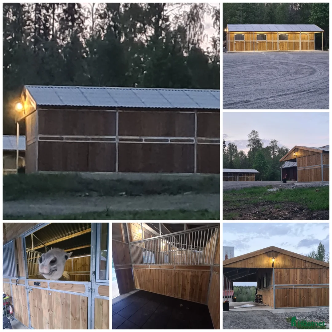  stallplats finnes: Stall plats med full service i Lindesberg - Annons 7