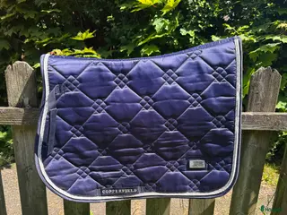 Schabrak & Vojlockar hästutrustning Copperfield i Lindome - Annons 5