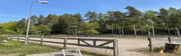  stallplats finnes: Lösdrift för valack i sorunda/lisö i Ösmo - Annons 2