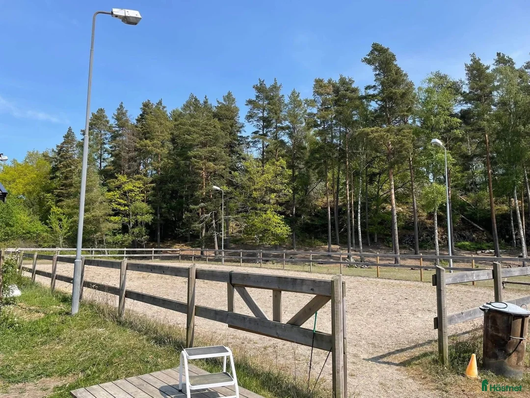 stallplats finnes: Lösdrift för valack i sorunda/lisö i Ösmo - Annons 2
