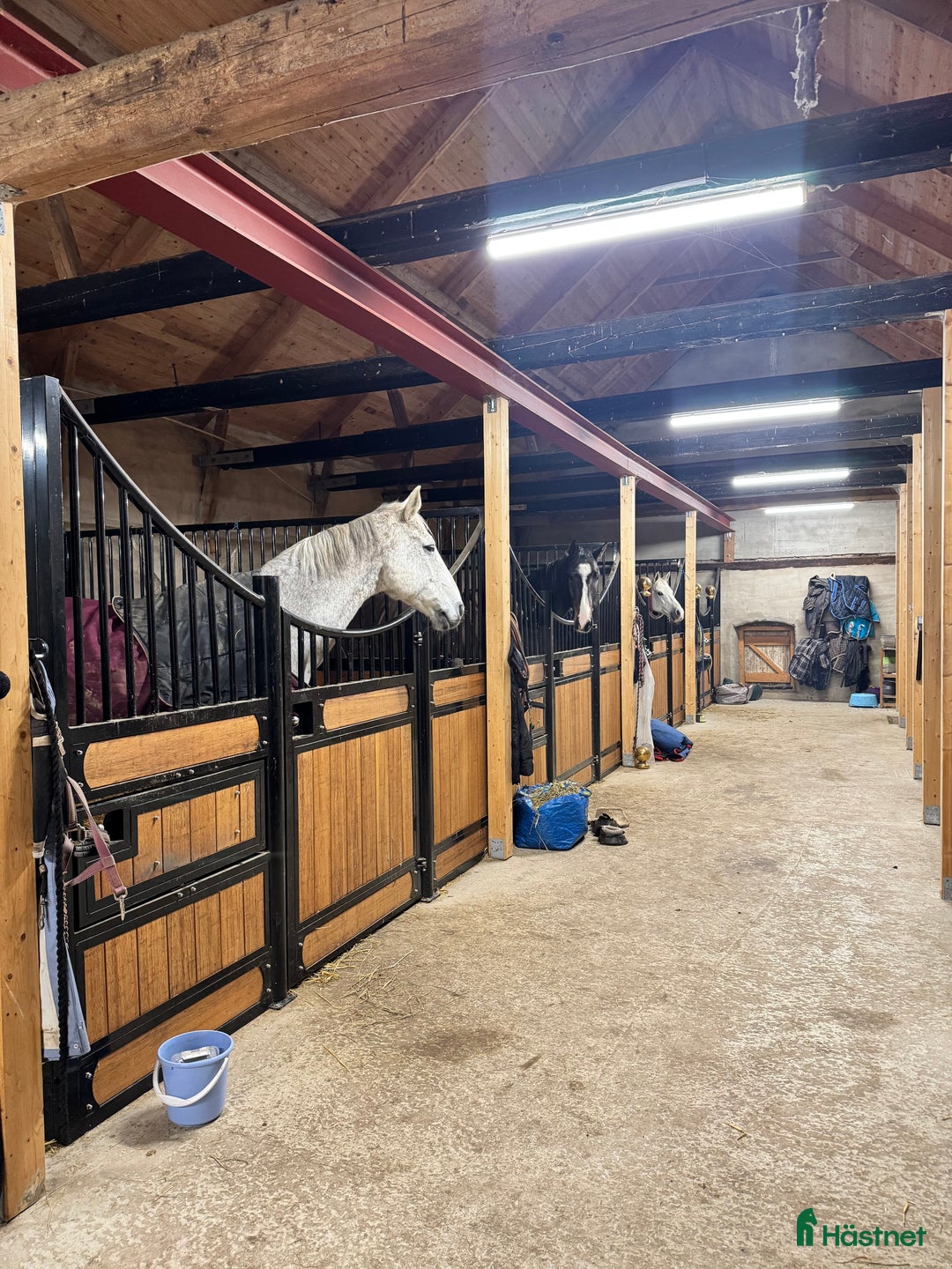  stallplats finnes: Boxplats - stora hagar och lång utevistelse  i Genarp - Annons 1