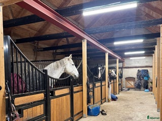 stallplats Boxplats - stora hagar och lång utevistelse i Genarp - Annons 11