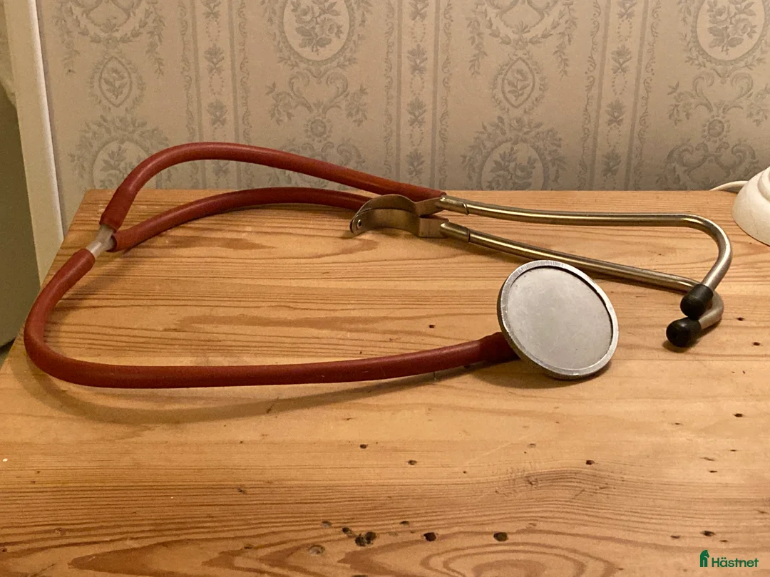 Övrig Hästutrustning hästutrustning till salu: Stetoskop Götze Hauptner - Annons 1