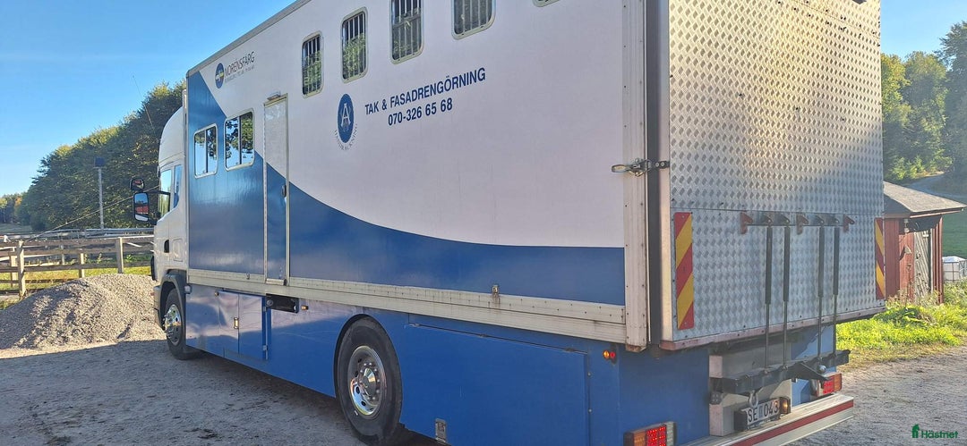 Hästlastbilar  fordon & transport till salu: Hästlastbil scania  i Södertälje - Bild 1