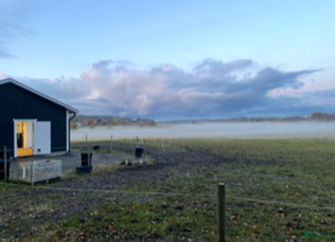  stallplats finnes: Stallplats  i Alingsås - Annons 5