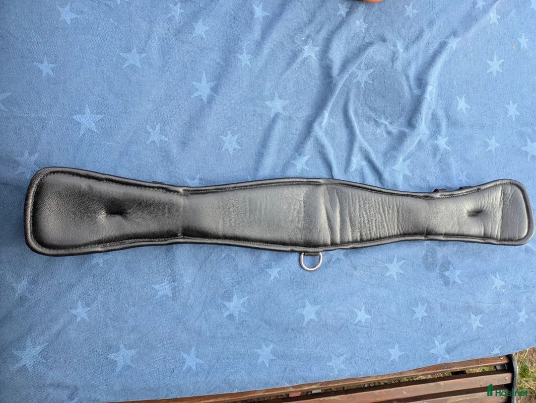 Sadeltillbehör hästutrustning till salu: Sadelgjord till dressyrsadel 75cm - Annons 3