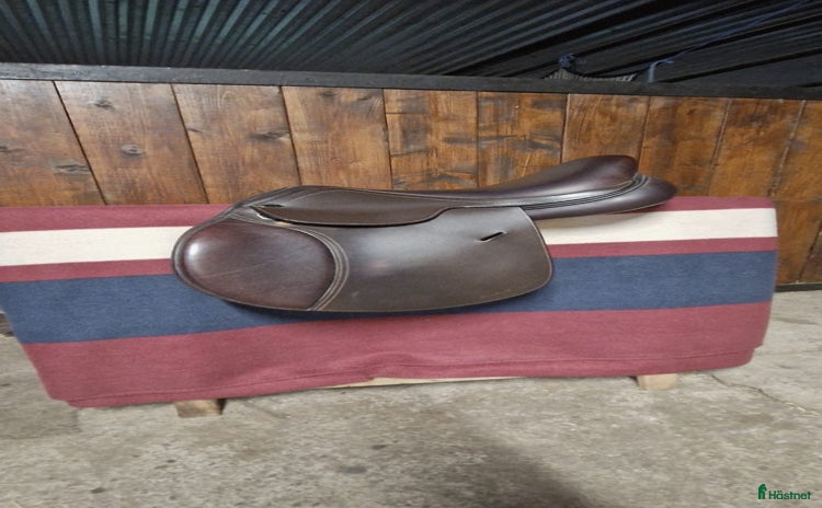 Sadlar hästutrustning till salu i Hjärnarp - Annons 8