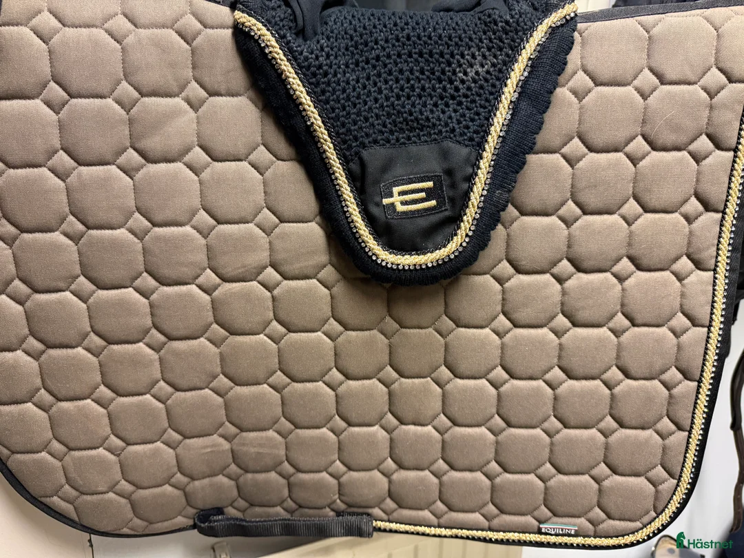 Schabrak & Vojlockar hästutrustning till salu: Snyggt Equilineset i Rydaholm - Annons 1