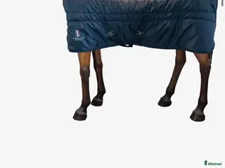 Täcken hästutrustning Kingsland termotäcke - Annons 14