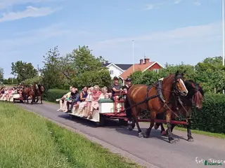 hästjobb Kusk till Remmalagen Visingsö sommarsäsongen 2026 i Visingsö - Annons 19