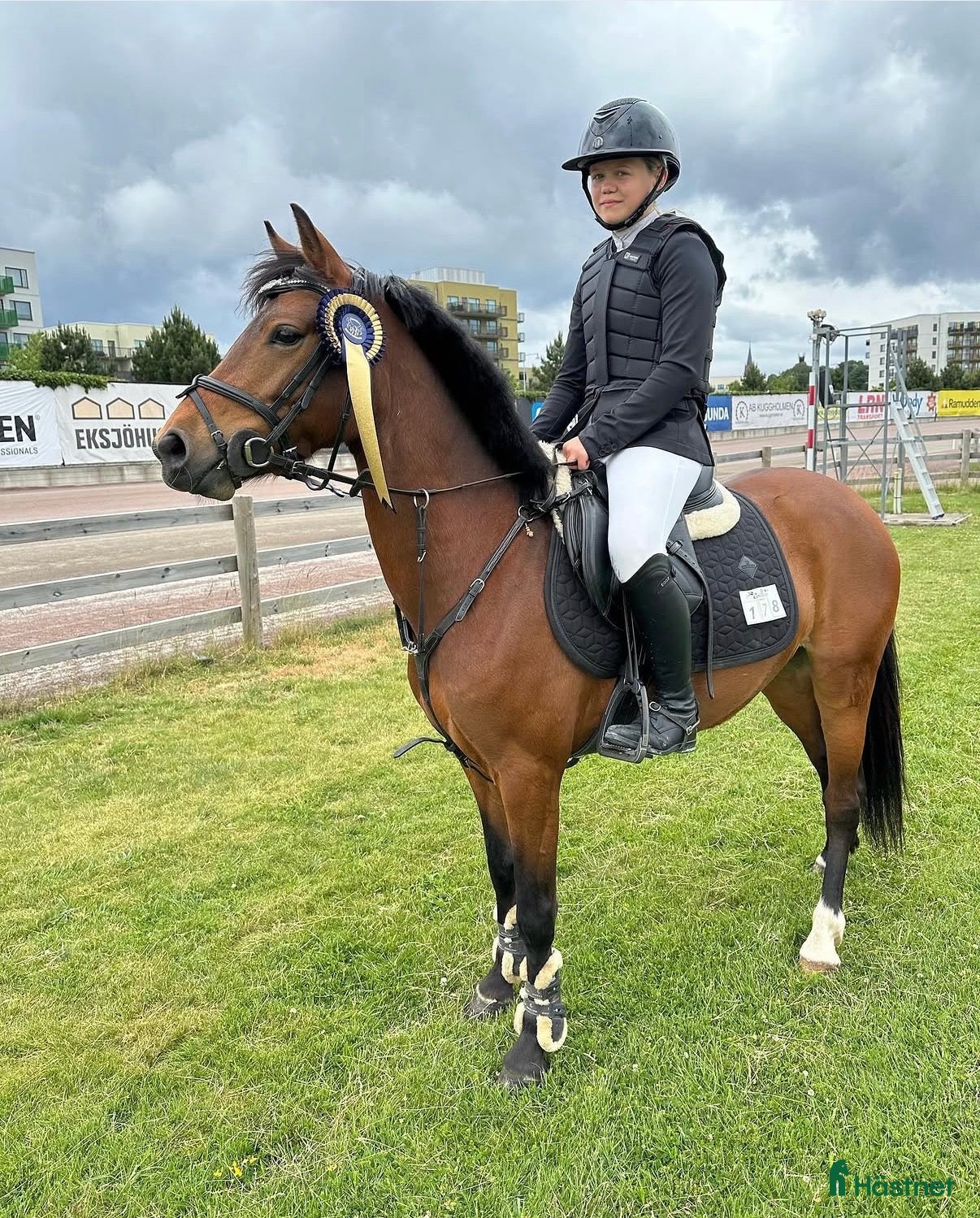  hästar 🌸 Söker nytt hem till C-ponny sällskap/avel🌸 - Annons 5