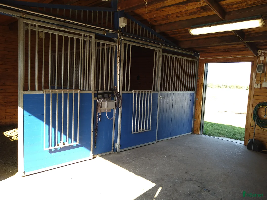  stallplats finnes: Boxplats med sommarbete i ett litet mysigt stall - Annons 3