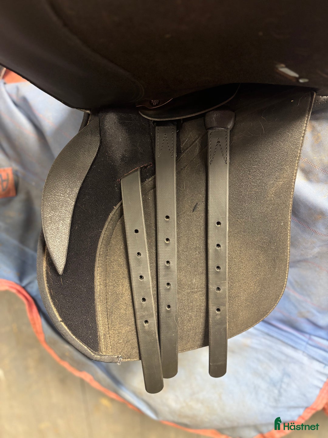 Sadlar hästutrustning till salu: Wintec sadel i Perstorp - Annons 4